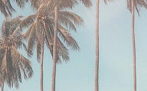 �ļ���������700��