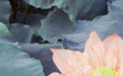 ���K�{�ݳ��ġ�����δ�����������ǂ��к������~