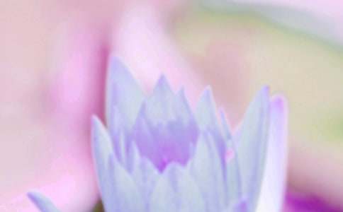 《夏至未至》歌曲歌詞