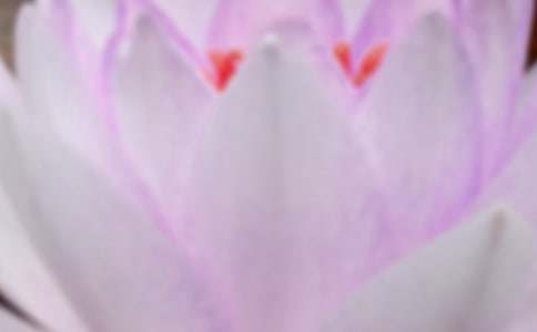 2016�����������r�V�R��