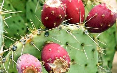 õ�������������