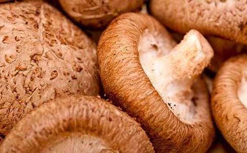 ���ˡ��㹽��ţ��_С�W����