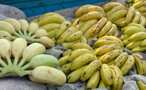 �����T���㽶����600��4ƪ