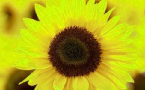 ���տ���������900��