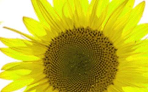 ���տ���΢Ц����800��