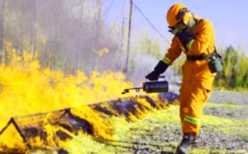 2017��ע���������̎��󿼗l��