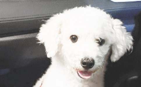 �����������С��100�֣����x130ƪ��