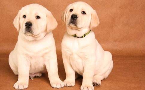 �Һ�С�����ģ����x33ƪ��