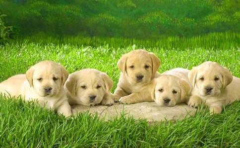 С�����K�����\����