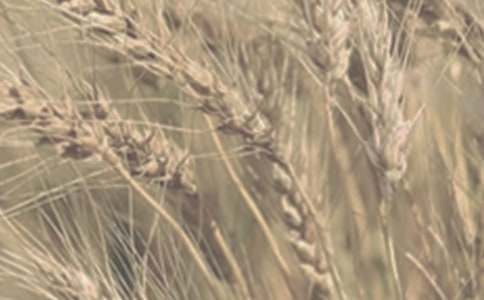 С�����L���r�V