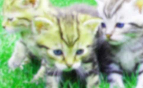 С؈�����䡱����15ƪ