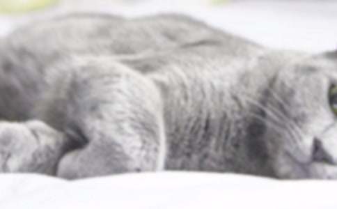 �茑Ԣ�Թ���������С؈���ģ����x12ƪ��