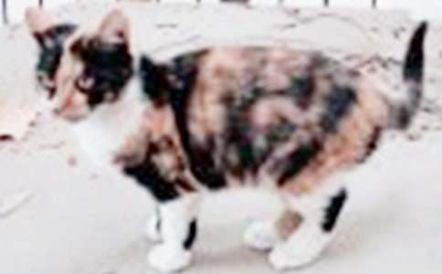 С؈�Ĺ������ģ����x44ƪ��