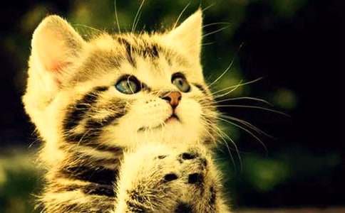 ��ϲ�g��С؈С�W����