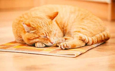 ���^����С؈������