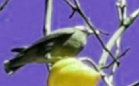 С�B�W���I�����ģ����x59ƪ��