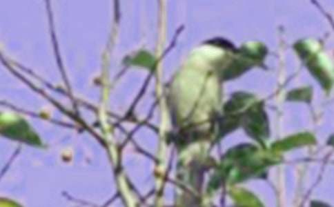 ���xС�B��ͯԒ���ĺϼ���ƪ