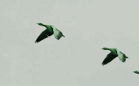 �ŌW·��׽С�B�����꼉����