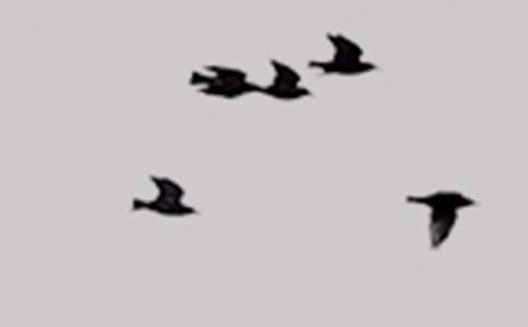 ��׃��С�B���ġ��]��