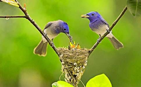 С�B���������ģ�ͨ��25ƪ��