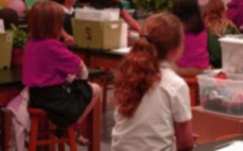 �P��С�W���������ģ�ͨ��40ƪ��