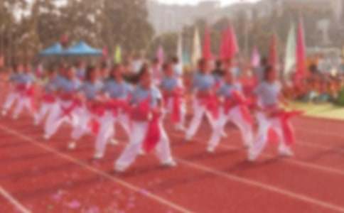 關于小學運動會作文500字:激烈的比賽項目