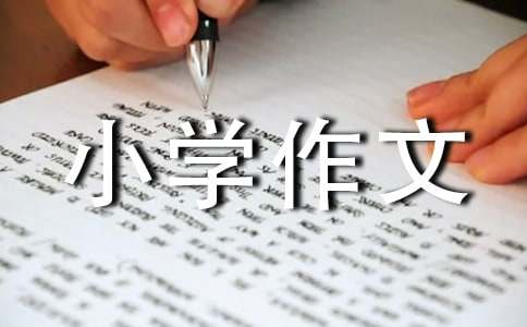 �ҵĵܵ�С�W���ġ����]��