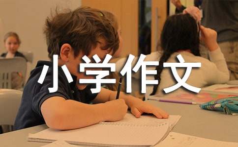 С�W�ĸ���С�W����