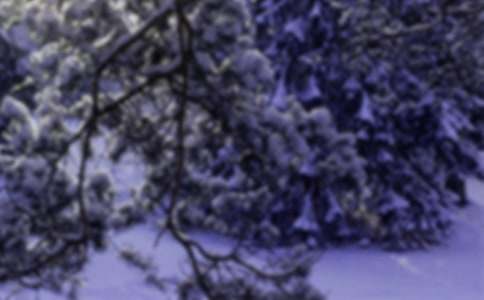 小雪人作文【熱門】