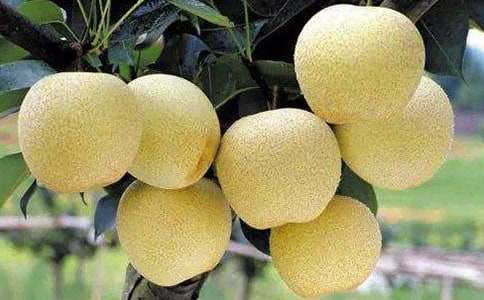 ����ѩ�����ģ�ͨ��27ƪ��