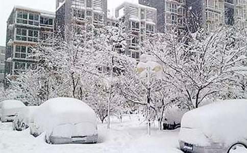 關于雪的作文:雪災_550字