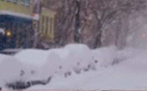 雪災過后的感想作文