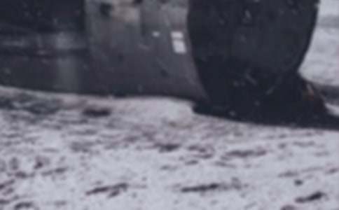 ѩ�ĺ�־Ը��������