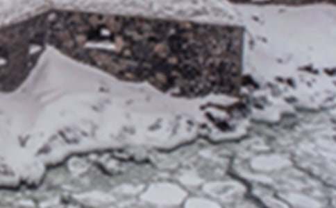 ������ѩ���а�̰����ģ�ͨ��14ƪ��