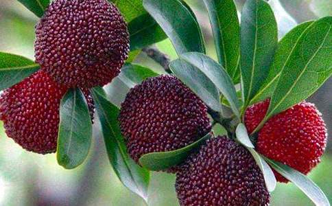 ��÷����300��7ƪ