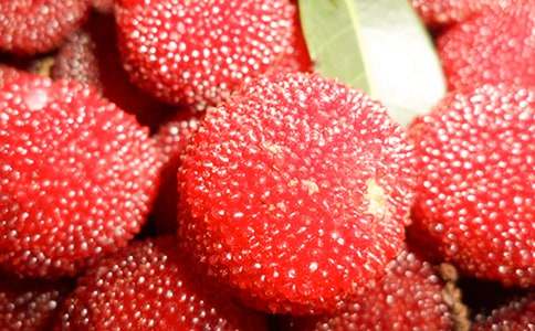 故鄉的楊梅作文(集錦12篇)