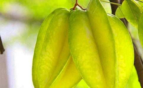 畫楊桃課文原文