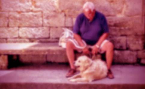 �Ϡ�����ѩС�W�����ģ�ͨ��24ƪ��