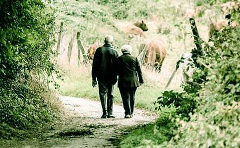 �������댦���f����