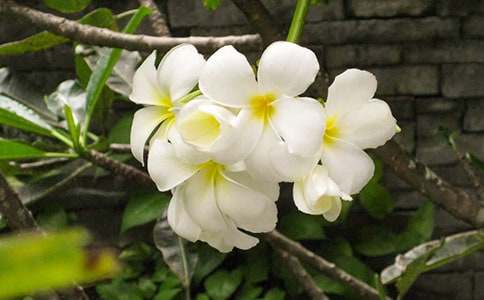 ҹ�����ʲôҹ��������