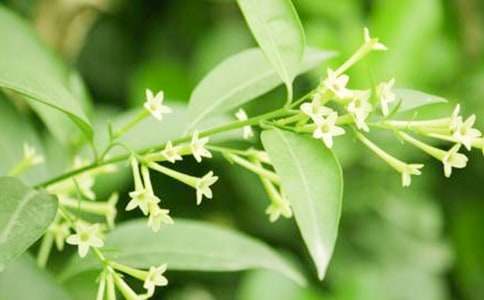 ���_ҹ��������900��