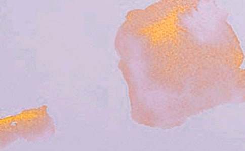 �ҵ�ˇ�g��������