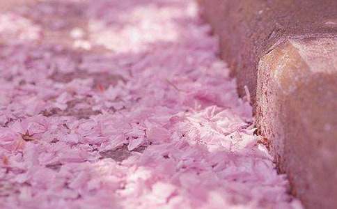 �ѻ����µļs�����~