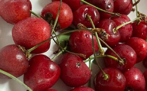 ժ��������