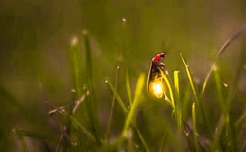 �^��Ξ���x����3ƪ