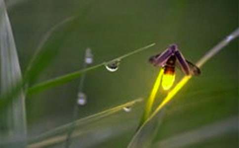 �����ġ�Ξ���x��_1200�ֳ����x���