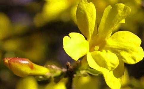 ������ӭ��������2017