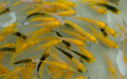 �~��ُ�N��ͬ12ƪ