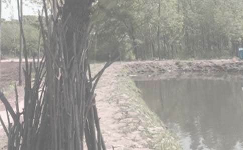 �������~�����ģ����x23ƪ��