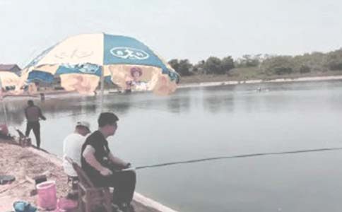 美麗的鄉村魚塘作文600字